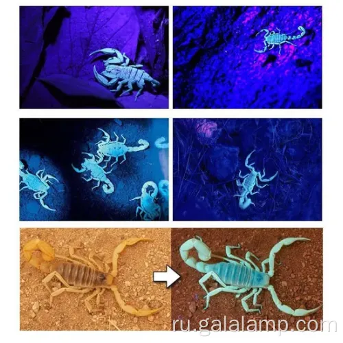 Ультрафиолетовая фара 395 нм перезаряжается